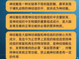 燃烧之路揭秘：燃烧吧我的大脑第8关通关攻略与思维技巧探索