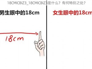 18CMICBIZ3_18CMICBIZ3是什么？有何特别之处？