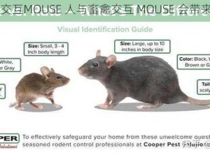 人与畜禽交互MOUSE 人与畜禽交互 MOUSE 会带来哪些影响？