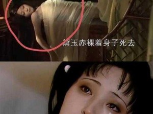 黛妃作品集,黛妃作品集：揭秘不为人知的秘密