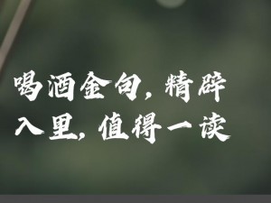 杯中酒映人生路，旋律流转诉世间情