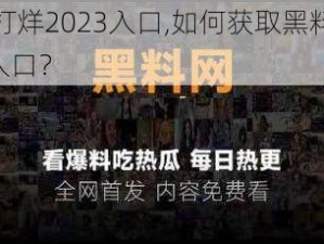 黑料不打烊2023入口,如何获取黑料不打烊 2023 入口？