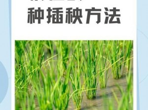 夫妻插秧38种方法图片大全(夫妻插秧有哪些 38 种方法？图片大全揭晓)