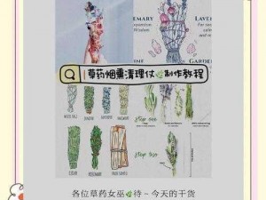 林中小女巫：独家揭秘除草剂制作配方，探寻自然森林魔法药剂的获取之道