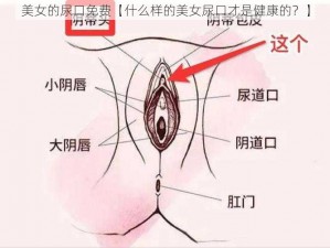 美女的尿口免费【什么样的美女尿口才是健康的？】