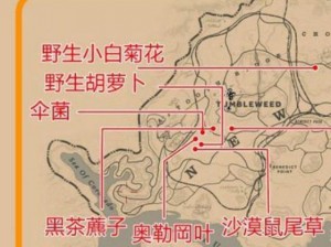 荒野大镖客2：草药大师挑战10攻略指南——解锁草药大师的秘密之道