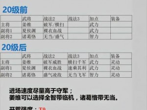 三国志战棋版开荒阵容搭配策略指南：攻略阵容配置助你轻松驰骋疆场