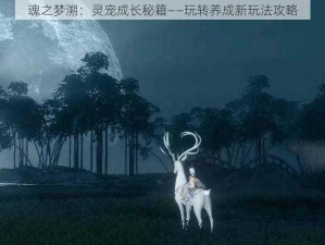 魂之梦溯：灵宠成长秘籍——玩转养成新玩法攻略