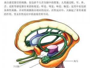 啪啪嗯哈影片抽插痉挛,啪啪嗯哈影片抽插痉挛，这是什么？