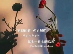 《抖音之歌：眼底驱不散的沙》——探索音乐中的情感与故事