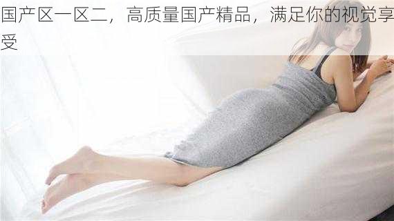 国产区一区二,高质量国产精品,满足你的视觉享受