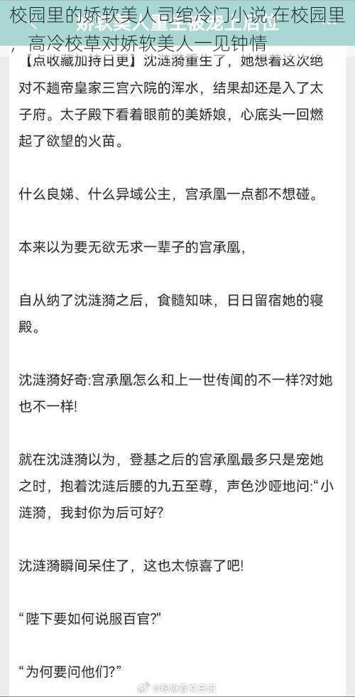 校园里的娇软美人司绾冷门小说 在校园里，高冷校草对娇软美人一见钟情