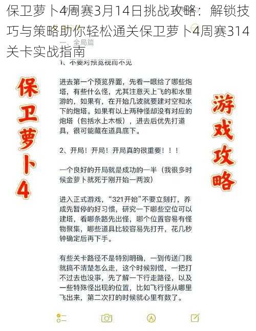 保卫萝卜4周赛3月14日挑战攻略：解锁技巧与策略助你轻松通关保卫萝卜4周赛314关卡实战指南