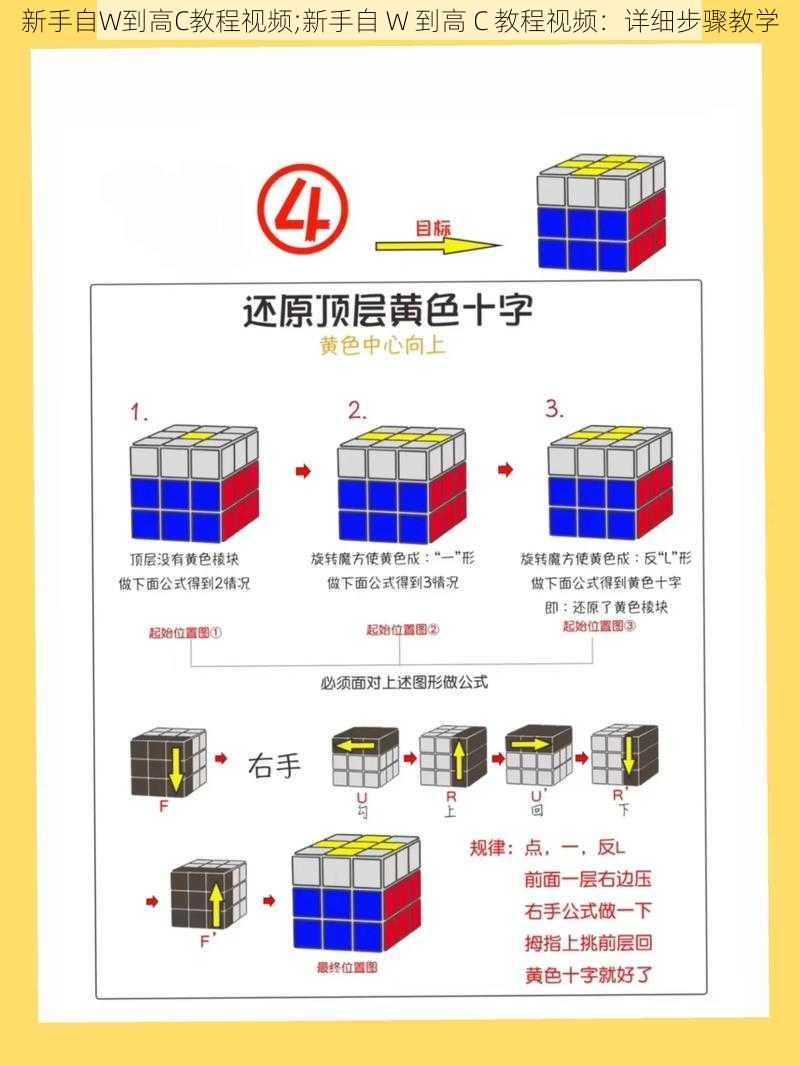 新手自W到高C教程视频;新手自 W 到高 C 教程视频：详细步骤教学