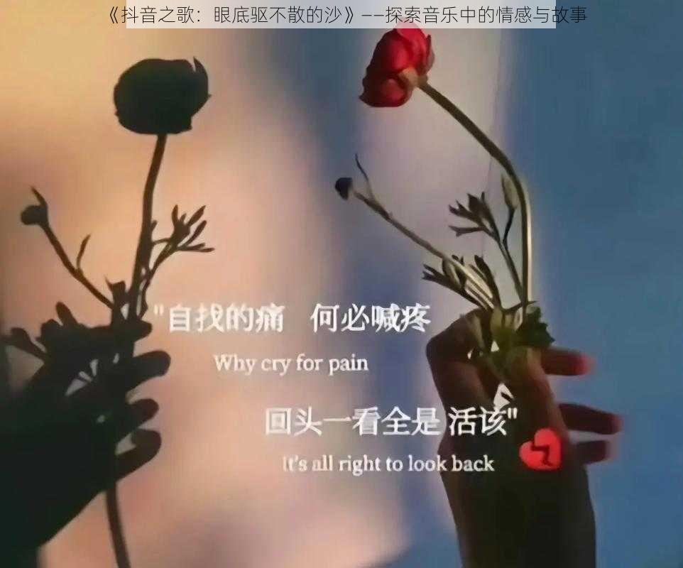 《抖音之歌：眼底驱不散的沙》——探索音乐中的情感与故事