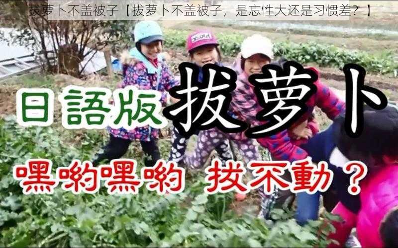 拔萝卜不盖被子【拔萝卜不盖被子，是忘性大还是习惯差？】