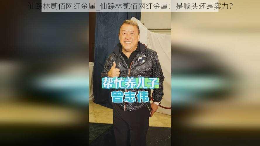 仙踪林贰佰网红金属_仙踪林贰佰网红金属：是噱头还是实力？