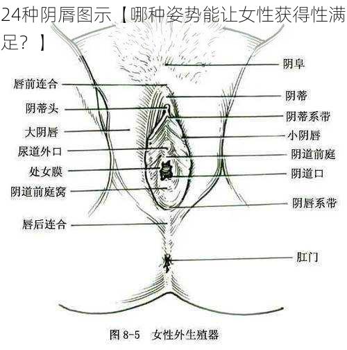 24种阴脣图示【哪种姿势能让女性获得性满足？】