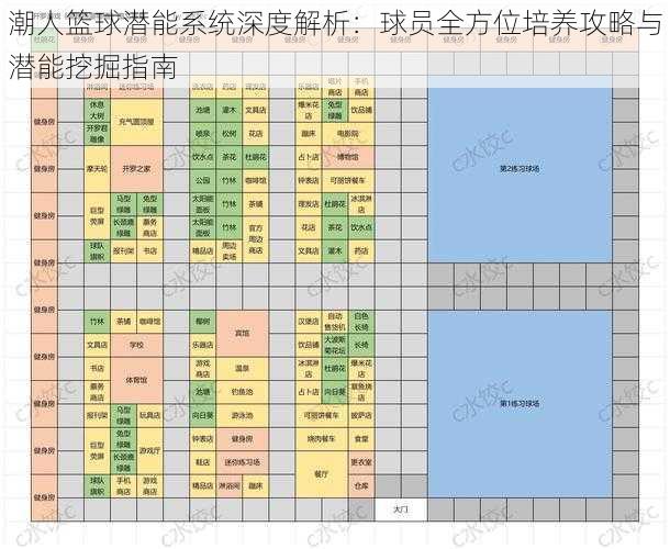 潮人篮球潜能系统深度解析：球员全方位培养攻略与潜能挖掘指南