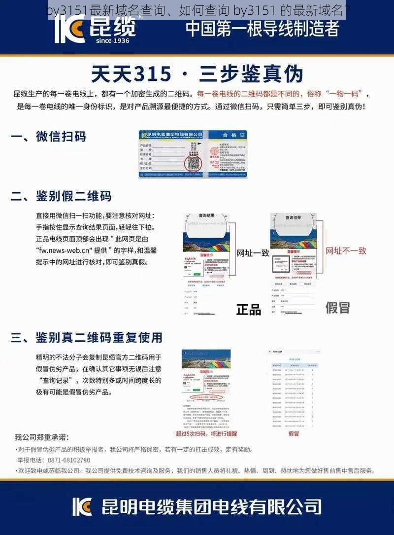 by3151最新域名查询、如何查询 by3151 的最新域名？