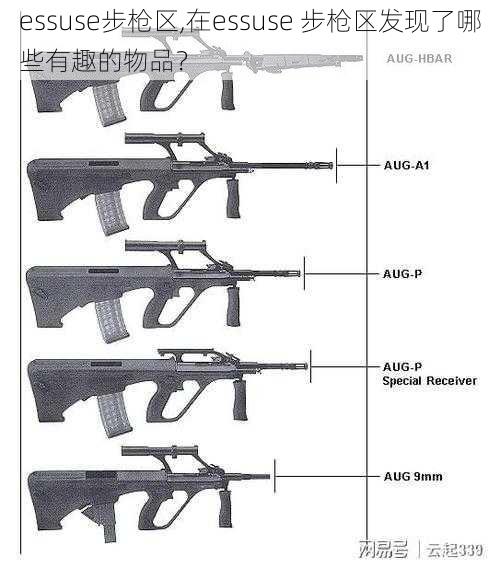 essuse步枪区,在essuse 步枪区发现了哪些有趣的物品？