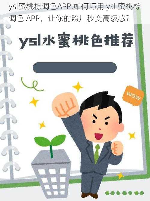 ysl蜜桃棕调色APP,如何巧用 ysl 蜜桃棕调色 APP，让你的照片秒变高级感？