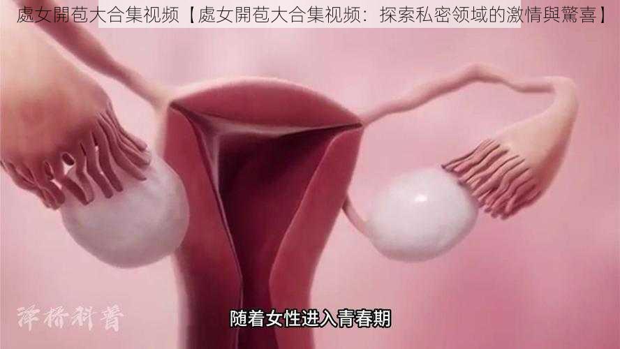 處女開苞大合集视频【處女開苞大合集视频：探索私密领域的激情與驚喜】