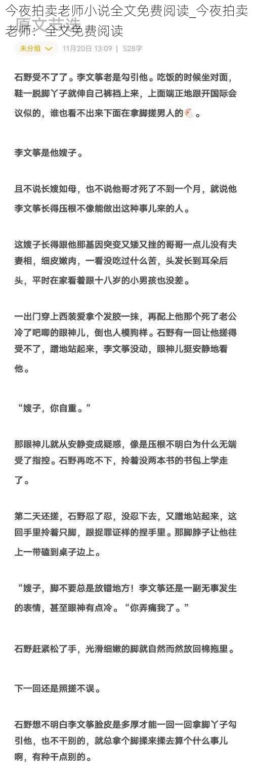 今夜拍卖老师小说全文免费阅读_今夜拍卖老师：全文免费阅读