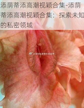 添荫蒂添高潮视颖合集-添荫蒂添高潮视颖合集：探索未知的私密领域