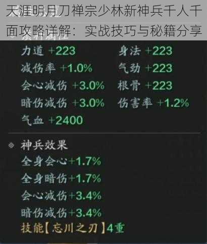 天涯明月刀禅宗少林新神兵千人千面攻略详解：实战技巧与秘籍分享