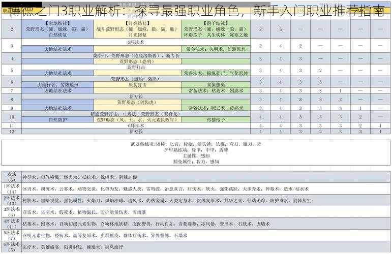 博德之门3职业解析：探寻最强职业角色，新手入门职业推荐指南