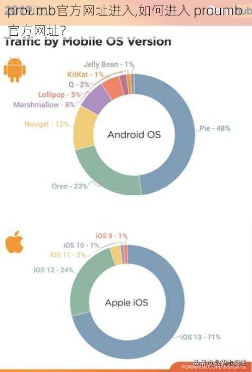 proumb官方网址进入,如何进入 proumb 官方网址？