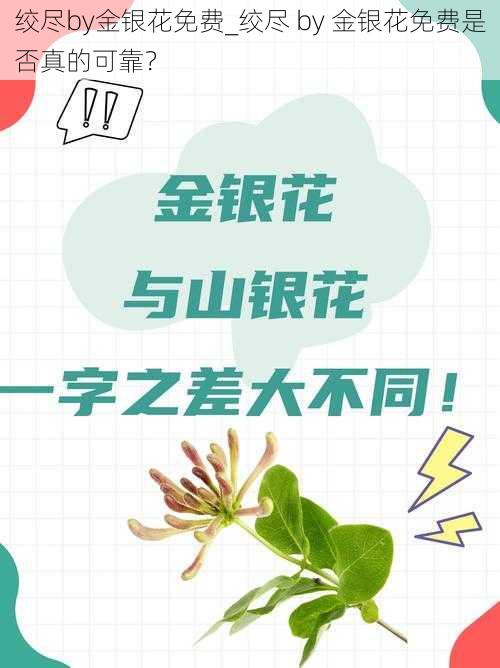 绞尽by金银花免费_绞尽 by 金银花免费是否真的可靠？