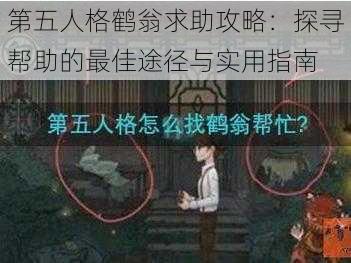 第五人格鹤翁求助攻略：探寻帮助的最佳途径与实用指南