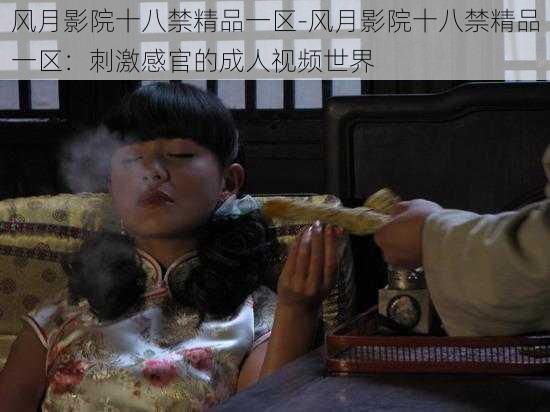 风月影院十八禁精品一区-风月影院十八禁精品一区：刺激感官的成人视频世界