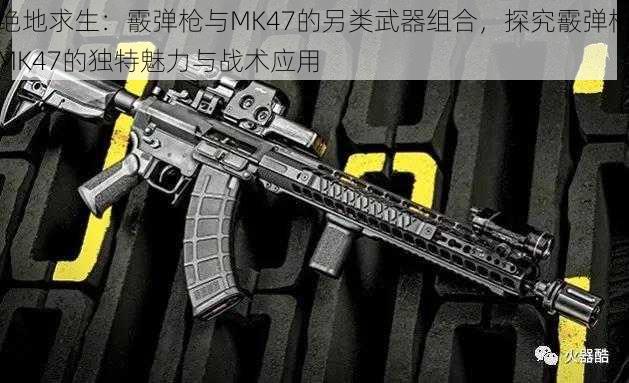 绝地求生：霰弹枪与MK47的另类武器组合，探究霰弹枪MK47的独特魅力与战术应用