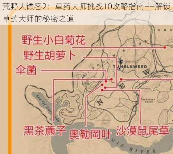 荒野大镖客2：草药大师挑战10攻略指南——解锁草药大师的秘密之道