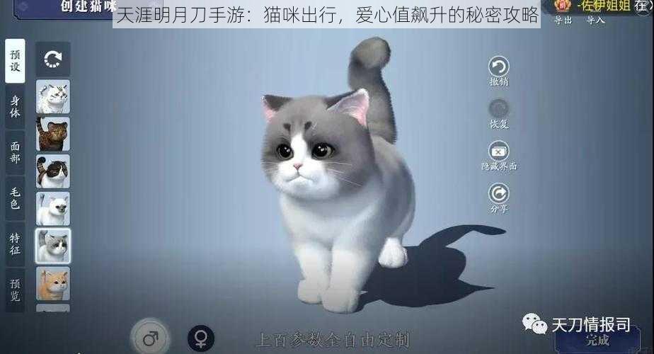 天涯明月刀手游：猫咪出行，爱心值飙升的秘密攻略