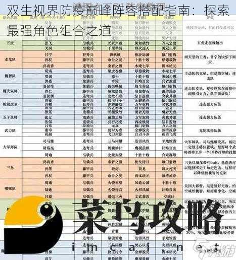 双生视界防疫巅峰阵容搭配指南：探索最强角色组合之道