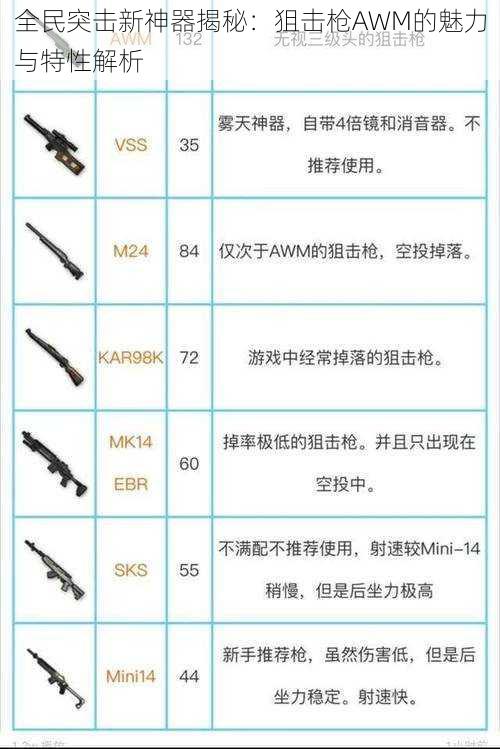 全民突击新神器揭秘：狙击枪AWM的魅力与特性解析