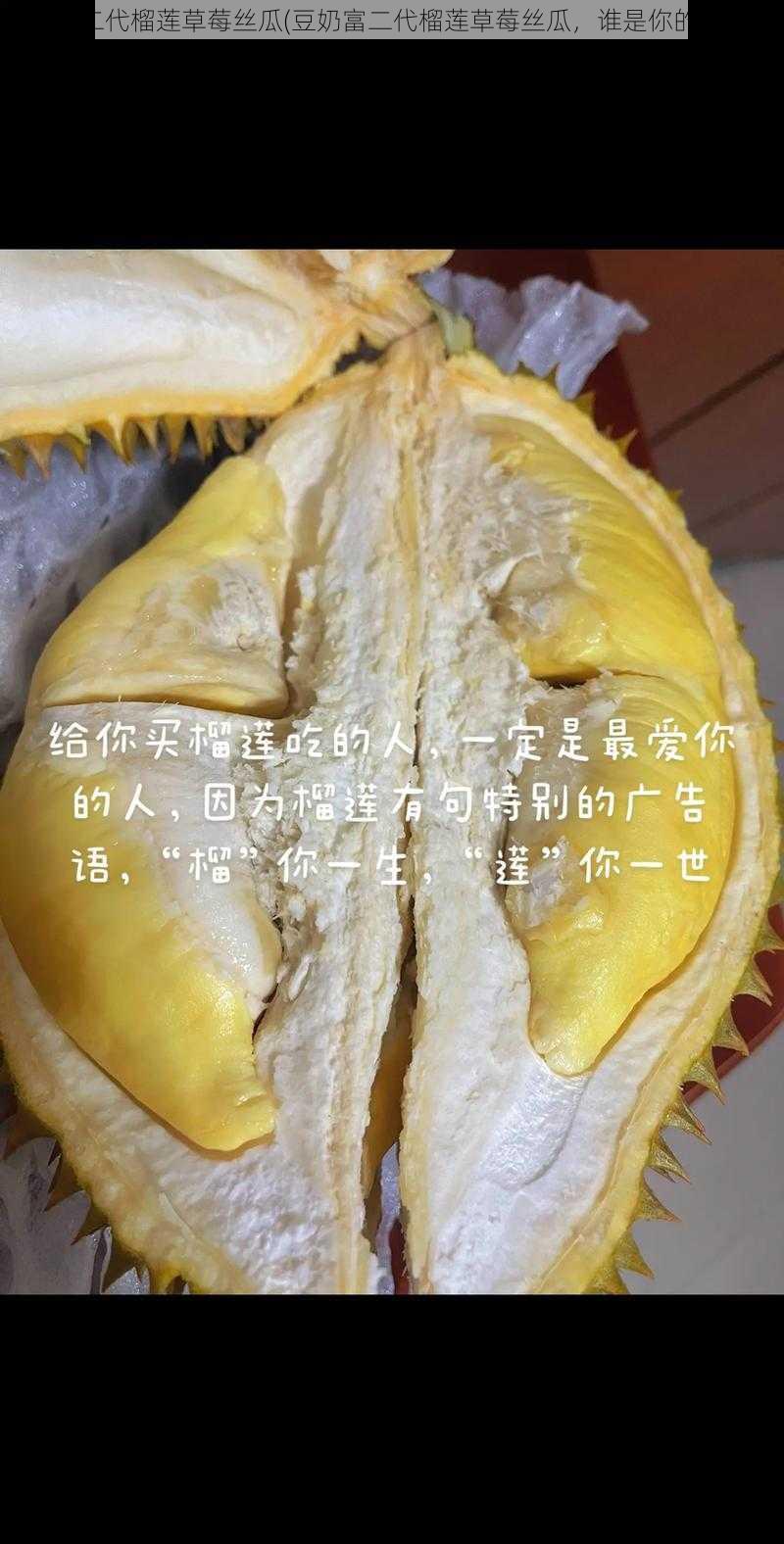 豆奶富二代榴莲草莓丝瓜(豆奶富二代榴莲草莓丝瓜，谁是你的最爱？)