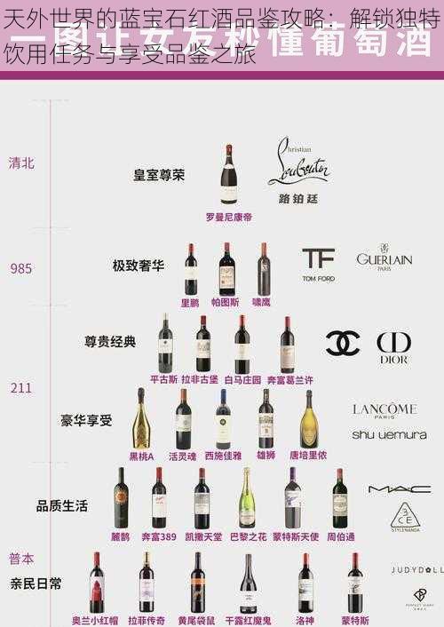 天外世界的蓝宝石红酒品鉴攻略：解锁独特饮用任务与享受品鉴之旅