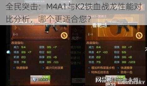 全民突击：M4A1与K2铁血战龙性能对比分析，哪个更适合您？