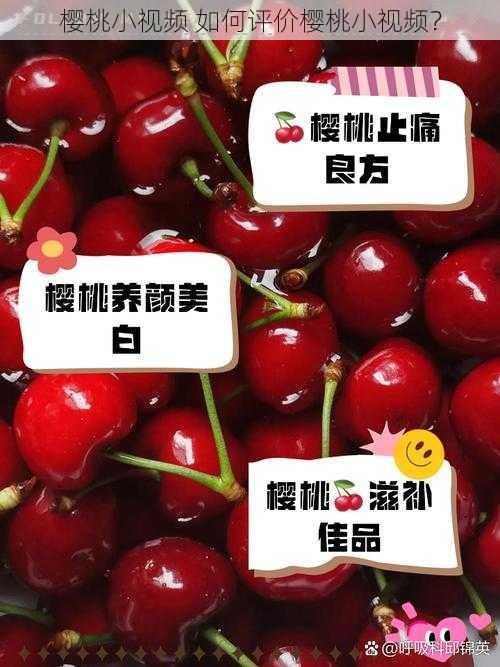 樱桃小视频 如何评价樱桃小视频？