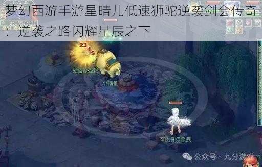 梦幻西游手游星晴儿低速狮驼逆袭剑会传奇：逆袭之路闪耀星辰之下