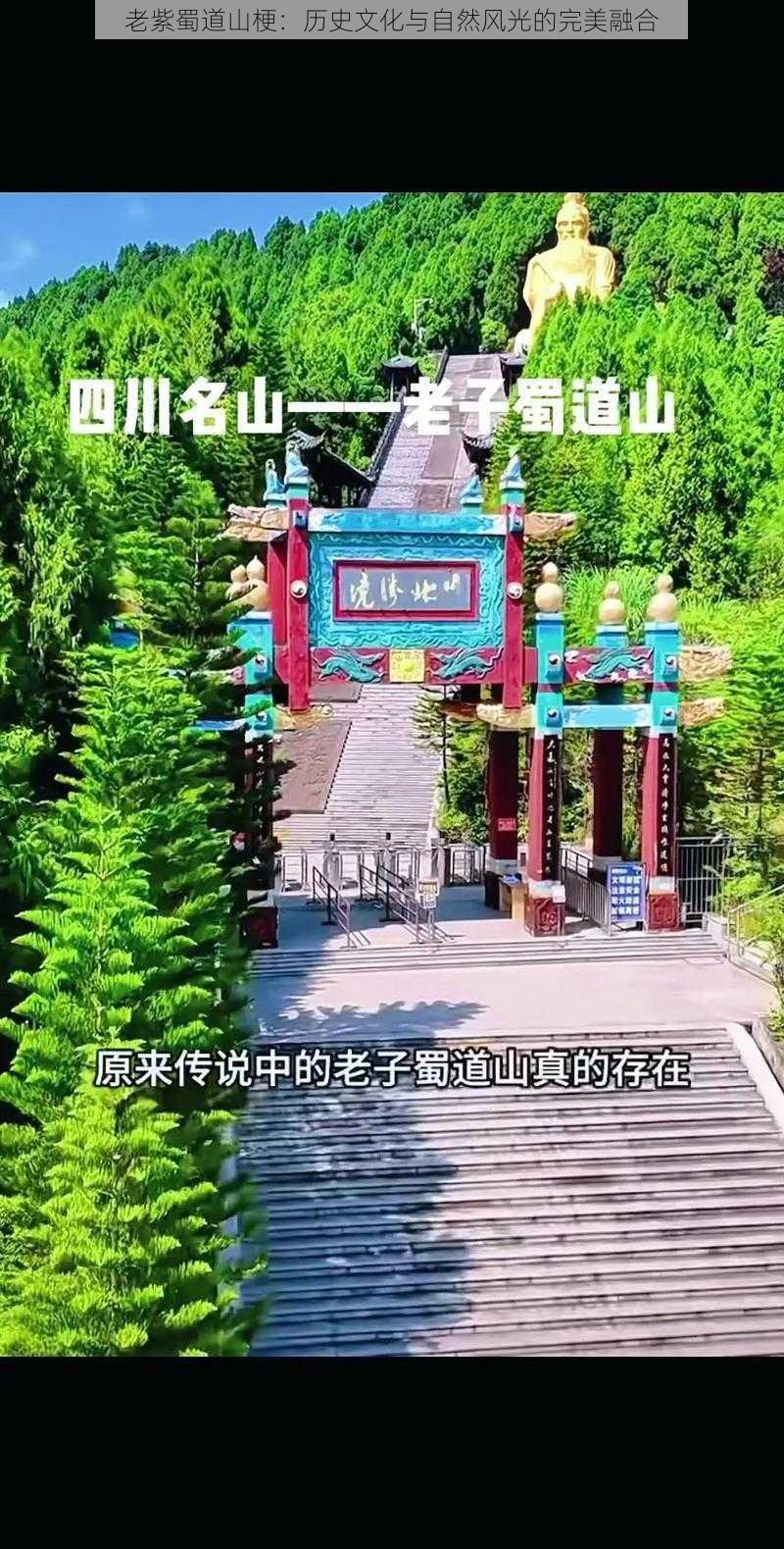 老紫蜀道山梗：历史文化与自然风光的完美融合