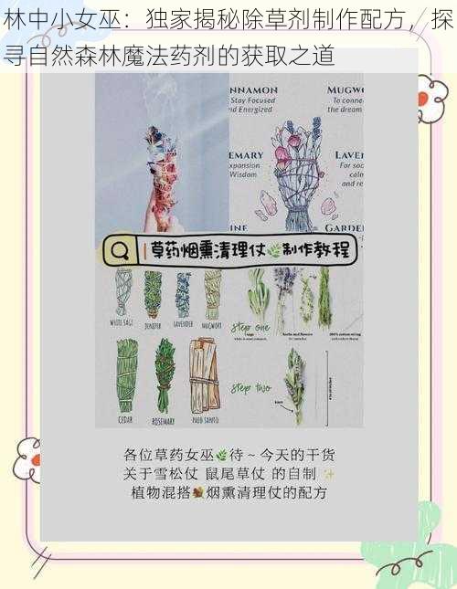 林中小女巫：独家揭秘除草剂制作配方，探寻自然森林魔法药剂的获取之道