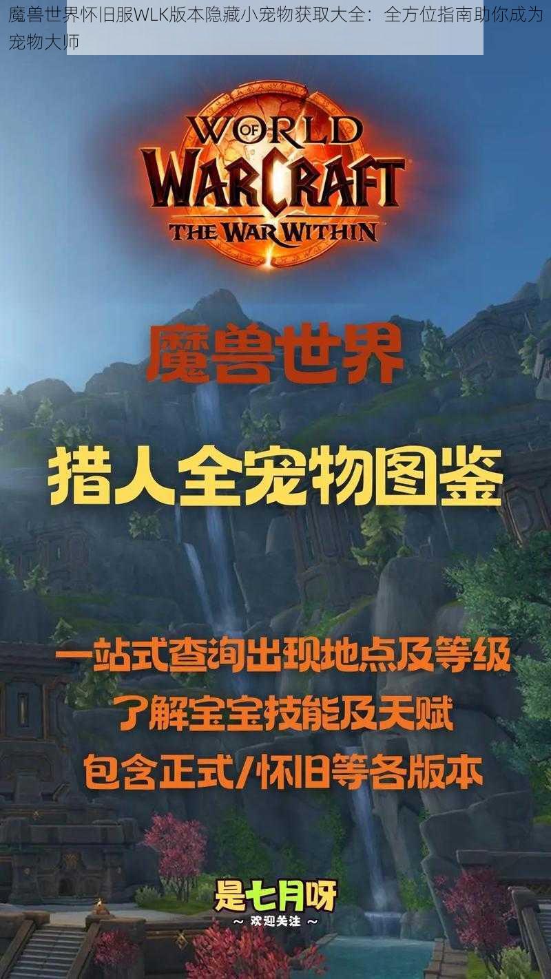 魔兽世界怀旧服WLK版本隐藏小宠物获取大全：全方位指南助你成为宠物大师