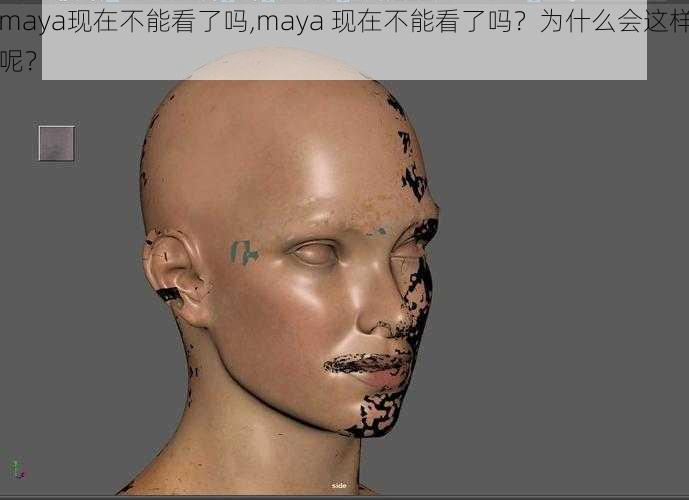 maya现在不能看了吗,maya 现在不能看了吗？为什么会这样呢？