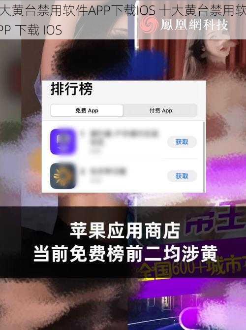 十大黄台禁用软件APP下载IOS 十大黄台禁用软件 APP 下载 IOS